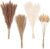 Pampas Grass Boho Residence Decor, Premium Rigorously Hand-Picked Pure Dried Fluffy Pompas Grass 17″, White & Brown Pampas Grass, Reed, Bunny Tails for Flower Preparations Boho Wedding ceremony Residence Décor